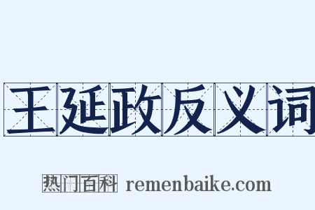 王延政反义词是什么意思的图片